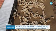 Новините на NOVA (18.07.2025 - обедна емисия)