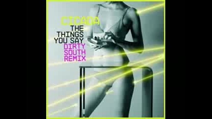 Cicada - The Things You Say (dirty South Remix)