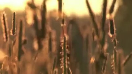 Ветер Воды - Ветер Воды