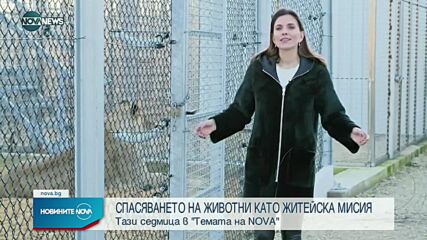 Новините на NOVA NEWS (03.04.2022 - 14:00)