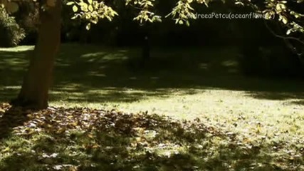 Seara mi - o imbrac in crizanteme