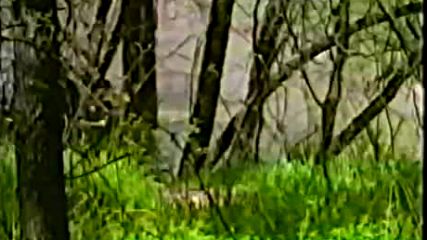 Отваряне на Реваншът (1995) на Симибетс Видео Vhs Rip