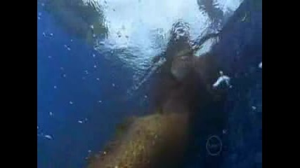 H2o Just Add Water Trailer 1 Episode 2