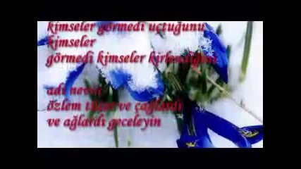 Bedirhan Gokce yenik Serce (adi Nevin)