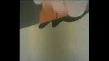 naruto fenomen