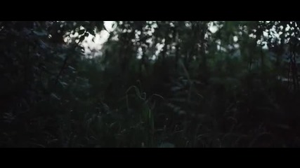 David Bolzoni - Amar Amarte ( Video Oficial)