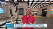 Скелет на динозавър на 67 милиона години ще бъде предложен на търг