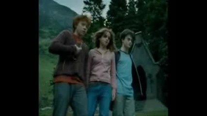 Ron And Hermione - Memories