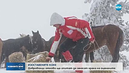 ИЗОСТАВЕНИТЕ КОНЕ: Доброволци отново ще се опитат да им помогнат