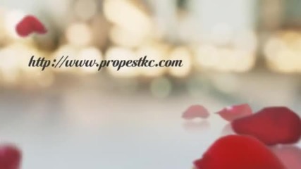 pest control kansas city
