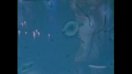 Nirvana - Come As You Are 