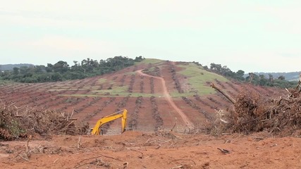 Звездата Нийв Кембъл като разказвачка в документалния филм No Land No Food No Life (2013)