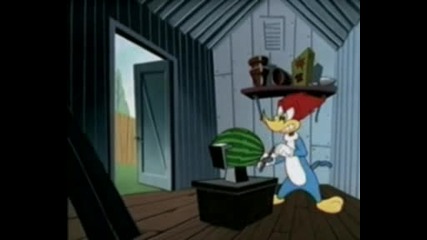 Woody Woodpecker