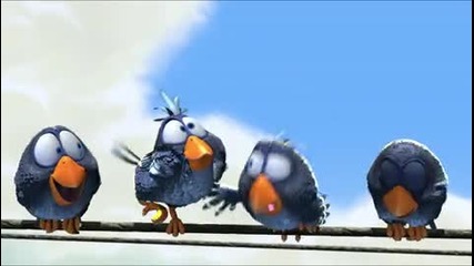 For The Birds
