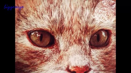 Coyu - Vertigo ( Original Mix ) [high quality]