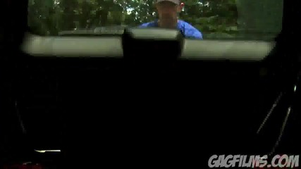 Butterflies in a Car