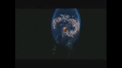Deep Blue Sea