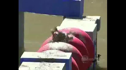 Wipeout predavane