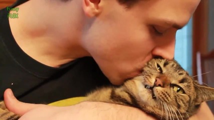 Смешни котки и кучета мразят целувки - Компилация