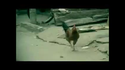 M. I. A - Bird Flu