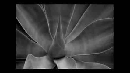 Depeche Mode - Easy Tiger