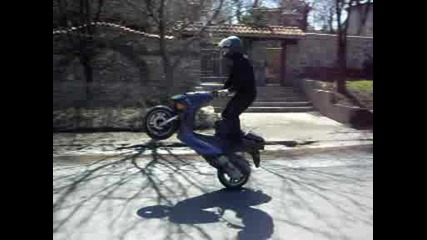 motori