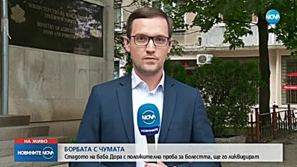 Две са стадата, в които има констатирана положителна проба за чума
