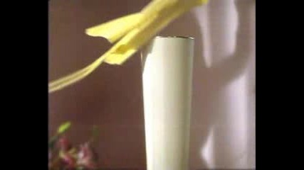 Vodka Flirt
