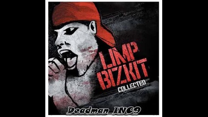 13 - limp bizkit - counterfeit 