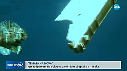 В "Темата на Nova" очаквайте: Кръговратът на боклука