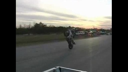 Suzuki bandit