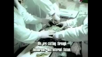 Russian Alien Autopsy - 2008 