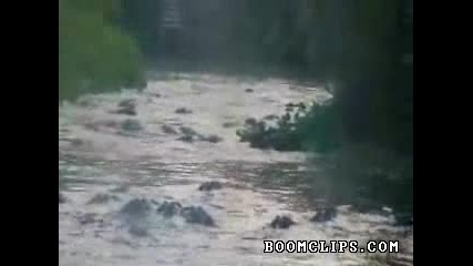 Река пълна с крокодили 