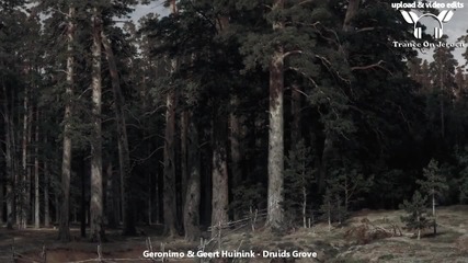 Geronimo Snijtsheuvel & Geert Huinink - Druids Grove