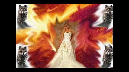 Волчица