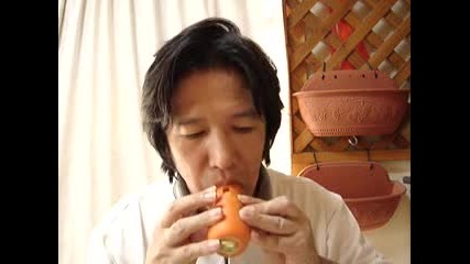 Carrot Ocarina - The Legend of Zelda Song of Time 