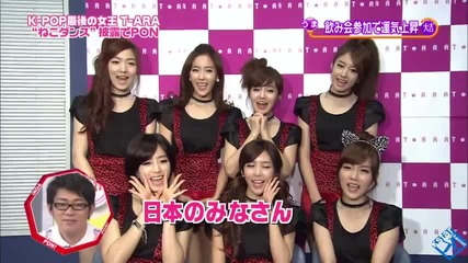 T-ara on Japanese News