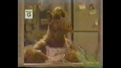 Alf