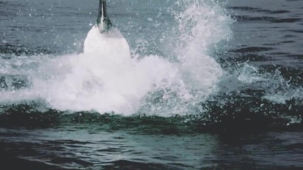 The Power of Nature Hd_(1080p)