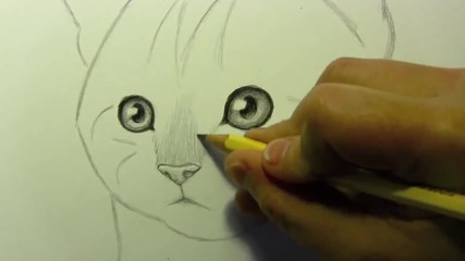 Как да нарисувате реалистична котка