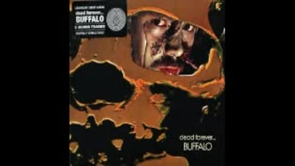 Buffalo - Leader