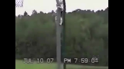 Много смях