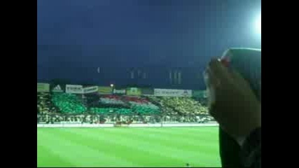 Legia Warshava Fans