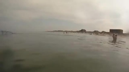 какво ли я гони тази риба