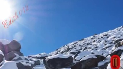 Winter Love