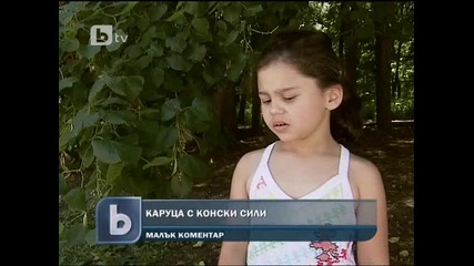 Цигани с каруци се надпреварваха