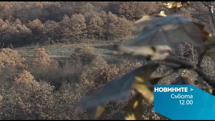 Новините на Нова - обедна емисия на 3 октомври
