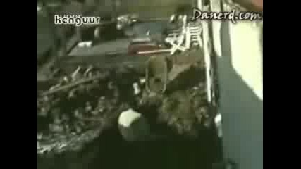 Смешни моменти в живота