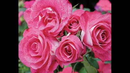 Richard Clayderman - Piano And Strings