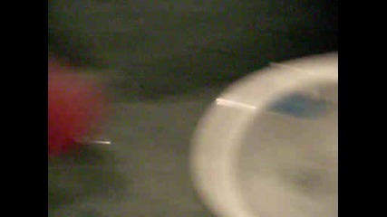 Sdc10173